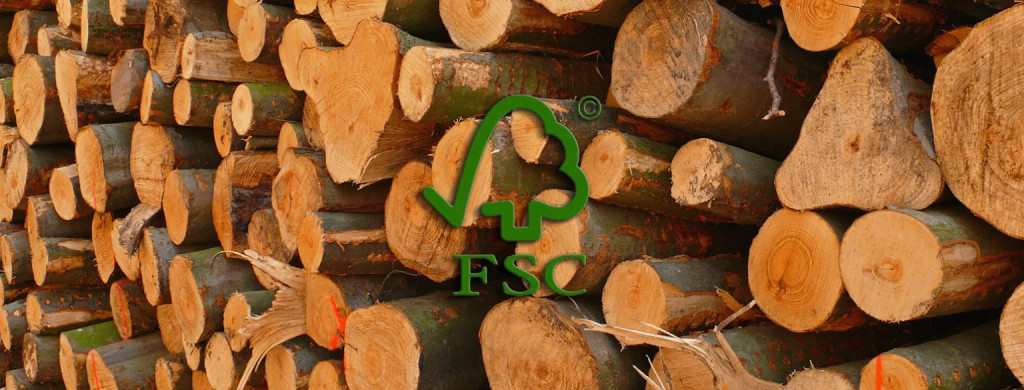 FSC-Logo